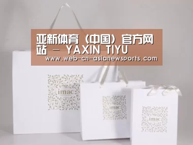 项目名称十一