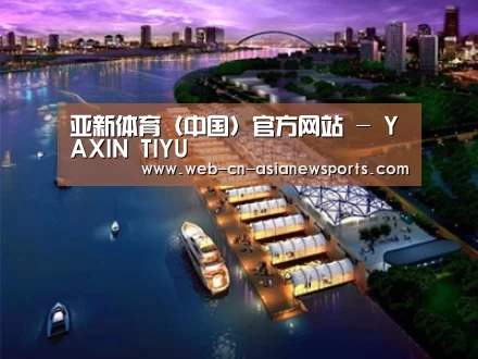 案例展示八