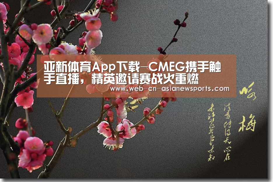  亚新体育手机应用