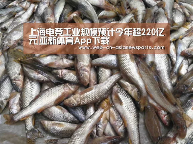 上海电竞工业规模预计今年超220亿元|亚新体育App下载(图3) 亚新体育App下载